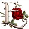 lizzyliz511
